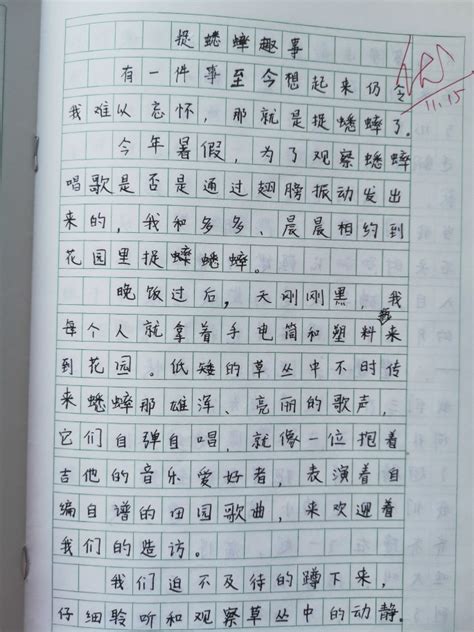 六年级日记900字折纸(六年级数学日记1000字) - 抖兔学习网