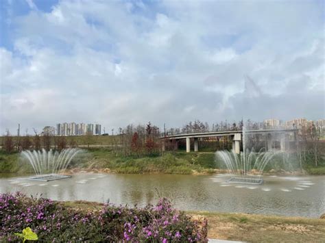 2022锦江白鹭溪生态公园游玩攻略,周末郊游好地方，景色迷人，... 【去哪儿攻略】