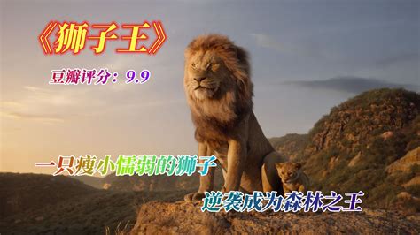 短片动画《狮子王》谁是最强狮子王辛巴第四，高孚垫底 灭霸|导演|角色|手套|漫画|漫威