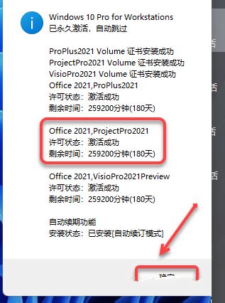 Microsoft Project2021破解版 32/64位 中文免费版|Project2021破解版 - 狂野星球应用商店