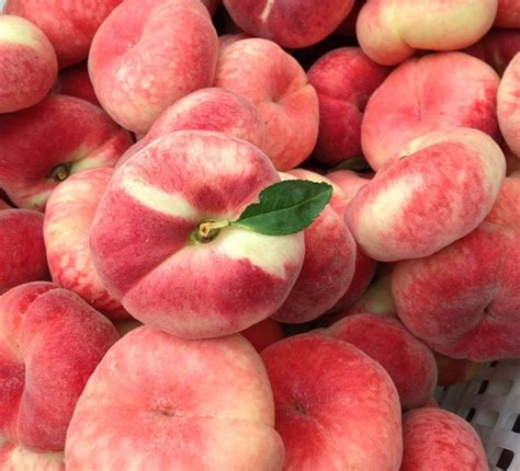 全国十大桃子产地-中国哪里的桃子最好吃-排行榜