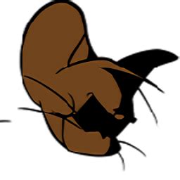 《猫和老鼠官方手游》官方网站-新春版本重磅上线