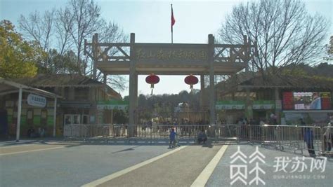 春节期间日均三万人 红山动物园人流量火爆_荔枝网新闻