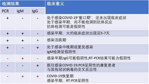 隐性课程和显性课程主要是指什么