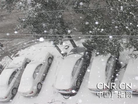 科学网—石家庄遭遇54年最大降雪 中央气象台发布暴雪橙色警报（转载） - 杨学祥的博文