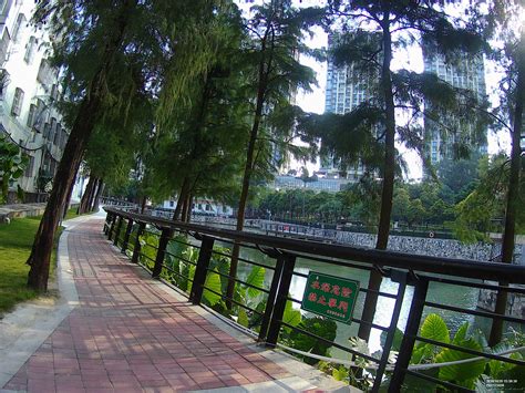 深圳横岗人民公园，有人工湖，竟然还有爱国主义基地。-深圳旅游攻略-游记-去哪儿攻略