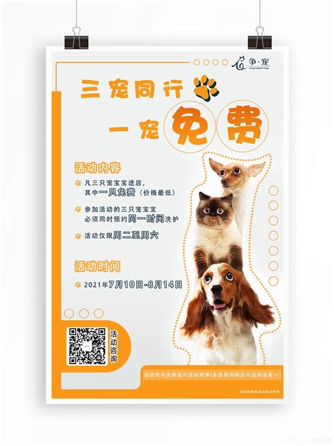 宠物店开业 宠物宣传单 DM单设计图__DM宣传单_广告设计_设计图库_昵图网nipic.com