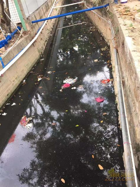 上海池塘/鱼塘清淤改造方法 - 知乎