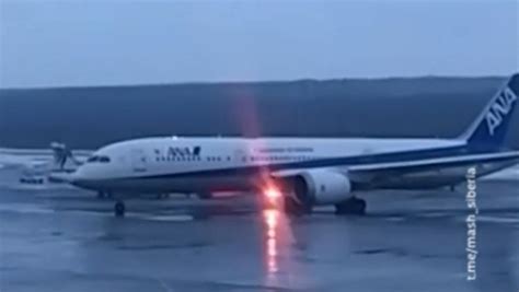 一架载有26名从叙返俄儿童的飞机在莫斯科州降落 - 2020年8月18日, 俄罗斯卫星通讯社