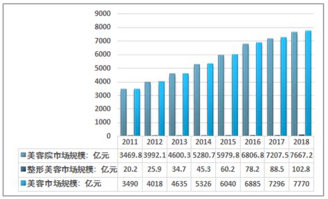 2024-2030年中国美容院行业市场运营格局及发展趋向分析报告_智研咨询