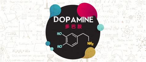 多巴胺的功效与作用 科普多巴胺对人体的影响有多大 - 学堂在线健康网