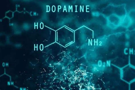 Dopamine Receptor and Cancer|MuseChem