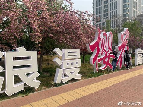 鹤壁樱花节今天上午正式开幕了
