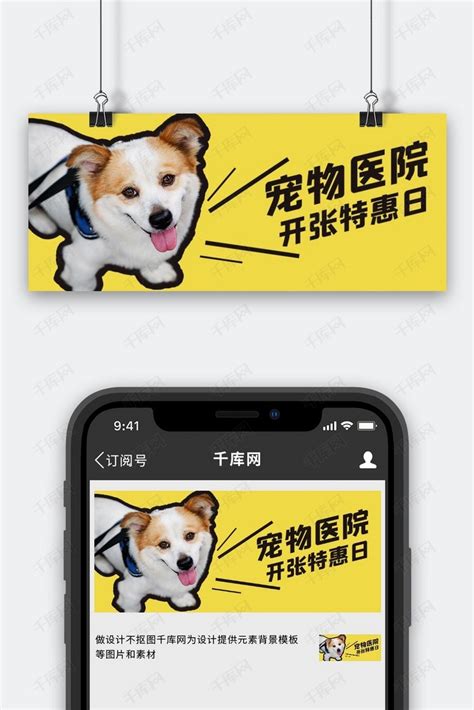 宠物医院开张特惠黄色简约公众号首图海报模板下载-千库网