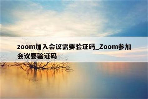 zoom会议链接怎么打开_ZOOM给了会议链接怎么进入 - zoom相关 - APPid共享网