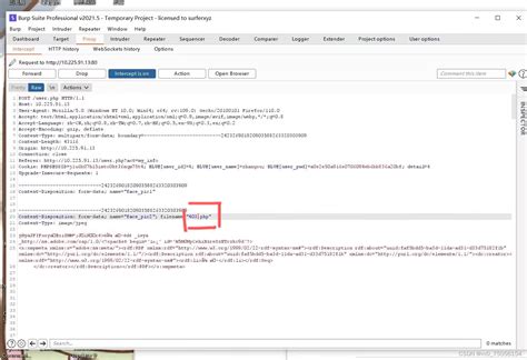 如何给网站注入木马程序_怎么在网页中注入恶意程序-CSDN博客