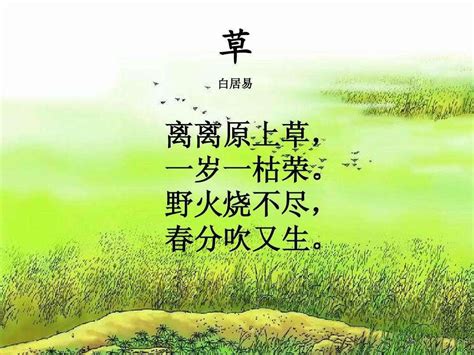 草的诗歌,现代,醒了(第3页)_大山谷图库