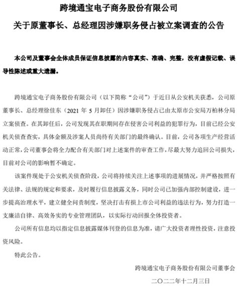 昔日跨境电商第一股董事长徐佳东 被立案调查 - 末端 - 亿豹网