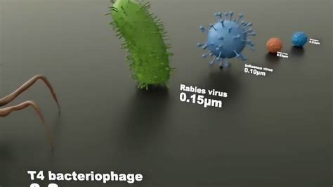 微生物视频影像4K微包装片头独特显微镜制作科学医学项目介绍生物细菌病毒_影视动画素材网