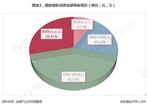 中国婚纱摄影行业市场需求分析及竞争对手调研报告20xx-2021年(已修改)