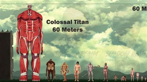 进击的巨人巨人种类介绍 九大巨人分别是谁_360问答