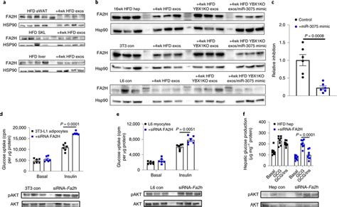 Verification of FA2H expression level. A. Validation of mRNAs by ...