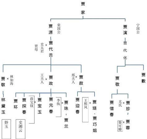红楼梦关系图图片