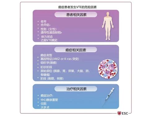 张宇辉教授团队详细解读《2022 ESC肿瘤心脏病指南》_心力衰竭和心肌病网
