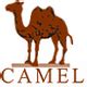 【骆驼】CAMEL官网