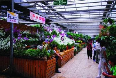 北京花卉市场有哪些 北京花卉市场地址一览表_齐家网