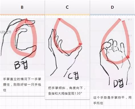杯罩图片
