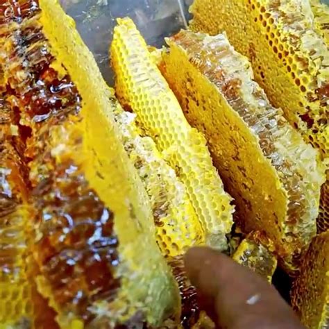 天山花开·新疆蜂蜜 1000g（250g*4）礼盒装 新疆特产蜂蜜批发-阿里巴巴