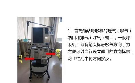 呼吸机管路连接图图片