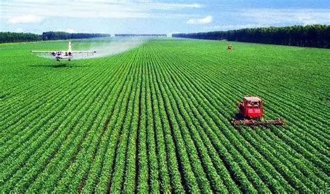 黑龙江北大荒：大型农机装备开展集群作业-人民图片网