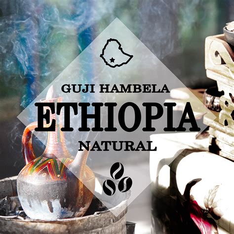 Ethiopia Guji Hambela | Light Roast - Whole Bean | Strigo Coffee