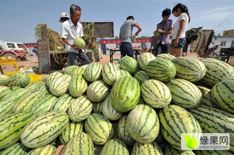 2020年6月份宁夏主要农副产品价格走势情况分析_宁夏回族自治区发展和改革委员会