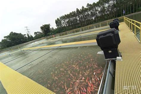 花都广场航拍花都政府办公大楼4k原始文件_4096X2160_高清视频素材下载(编号:1024526)_实拍视频_光厂(VJ师网) www ...