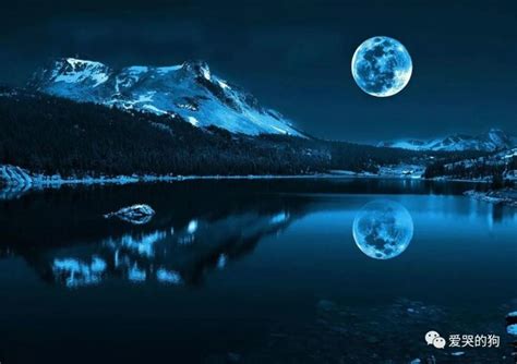 月光如水，这是我见过最美的月亮油画！|月光如水|鹊巢|竹影_新浪新闻