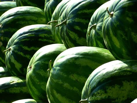 西瓜价格持续上涨，创近几年来新高！ | 国际果蔬报道
