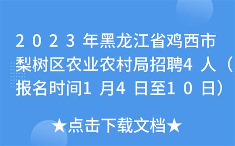 2023年黑龙江省鸡西市梨树区农业农村局招聘4人（报名时间1月4日至10日）