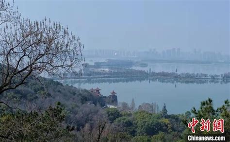 塔子湖，是幸福的湖泊！-武汉绿色江城