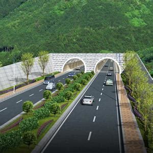 温州市环山北路龙湾段道路工程 - 业绩 - 华汇城市建设服务平台