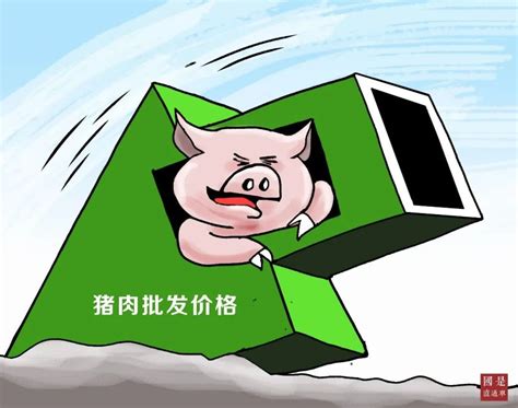 肉价连跌18周，你实现“猪肉自由”了吗 - 民生 - 新湖南
