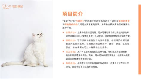 宠物店创业计划书Word模板下载_熊猫办公
