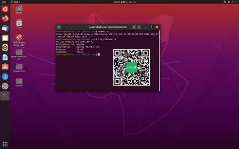 Ubuntu 20.04.1 LTS（Focal Fossa）发布 - Linux迷