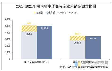 2021年湖南省电子商务企业数量、销售额和采购额统计分析_地区宏观数据频道-华经情报网