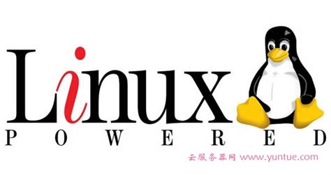 Linux学习之计算机基础入门和常见Linux发行版介绍 - 马哥教育官网