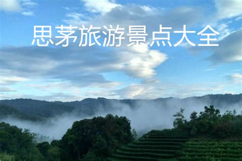 云南思茅：小茶叶 大产业-人民图片网