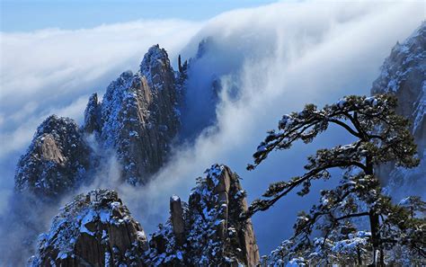 黄山迎来摄影狂潮--雾凇频出、云雾缭绕、雪景雪松更是为黄山锦上添花_摄影资讯_国际旅游摄影网