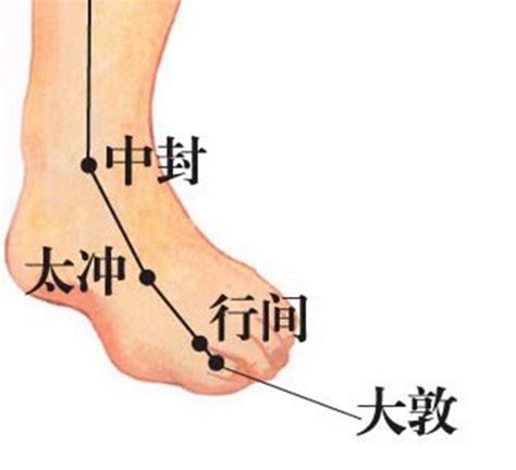 太阳的准确位置图图片